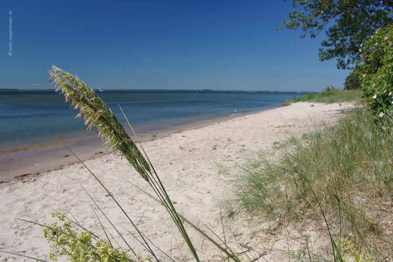 Strand am Palmer Ort